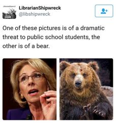 devos-vs-bear